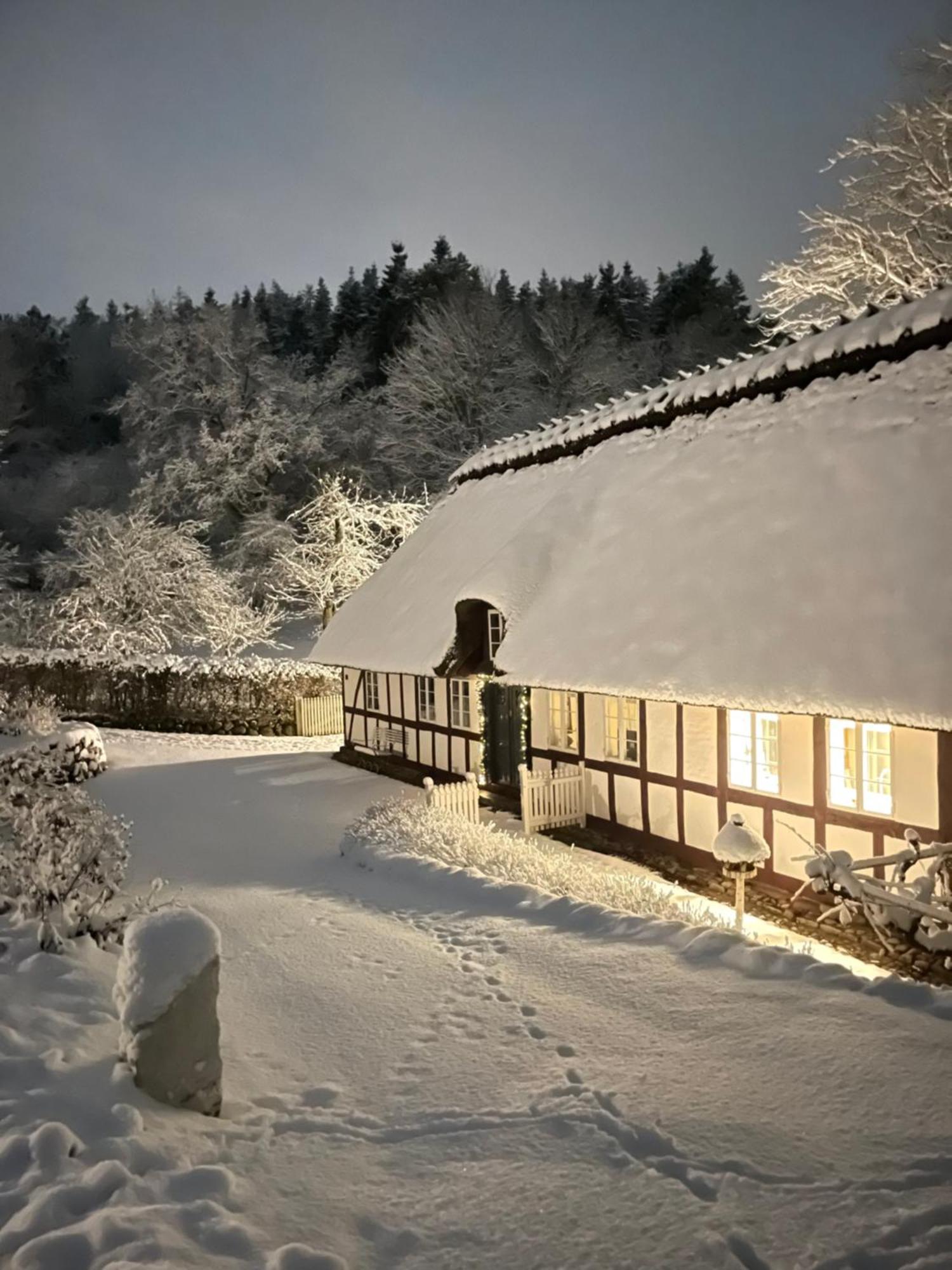 Lillemollens Bed & Breakfast Orbaek  Exterior photo