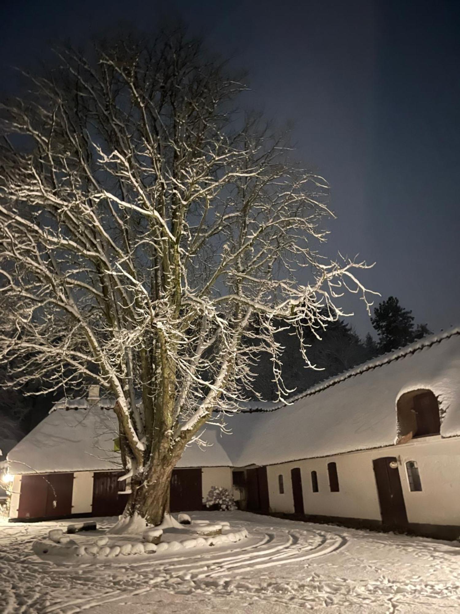 Lillemollens Bed & Breakfast Orbaek  Exterior photo